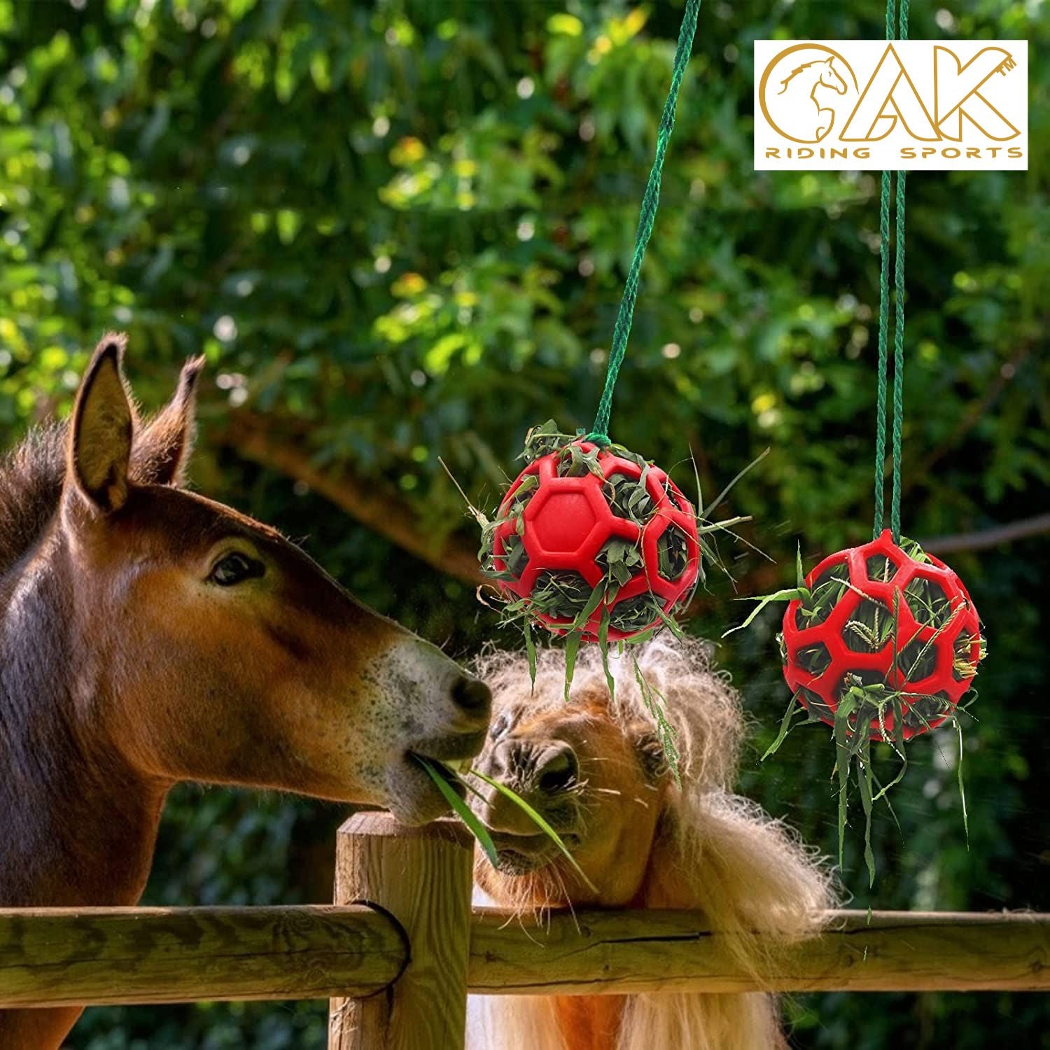 AK Horse Treat Feeder Ball